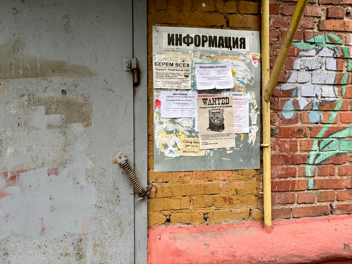 И вот так смотрелись на досках с расстояния в пару метров