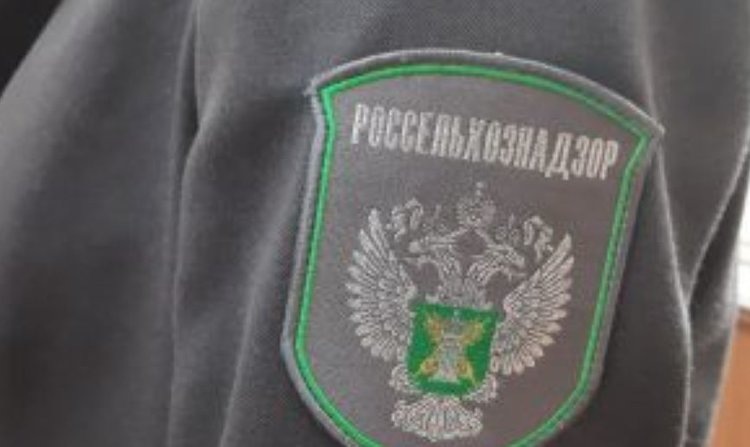    Фото: Россельхознадзор РФ