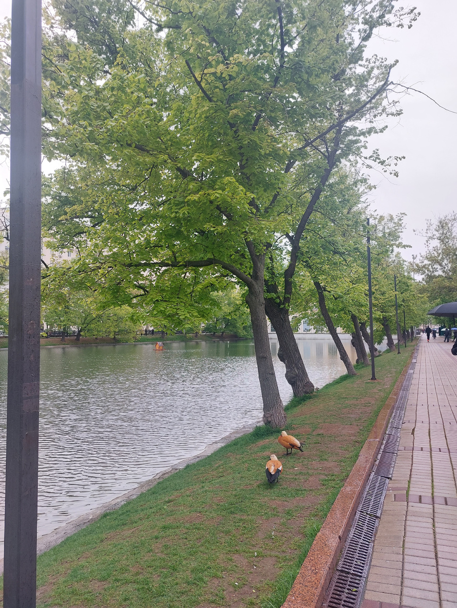 Чистопрудный бульвар