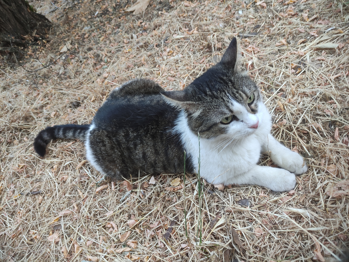 Включен локаторный РЭБ