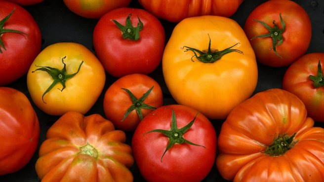 Летний суперфуд: названы 7 поводов есть помидоры