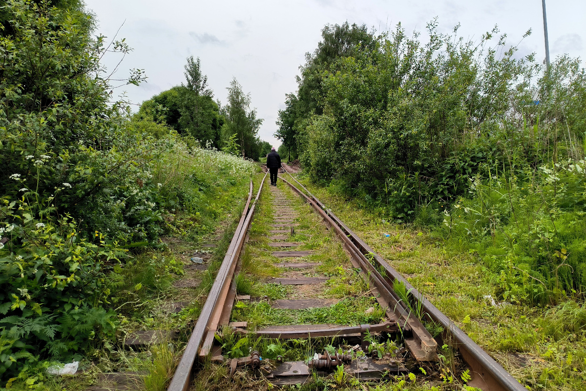 Maksim Konstantinov / Global Look Press / Global Look Press