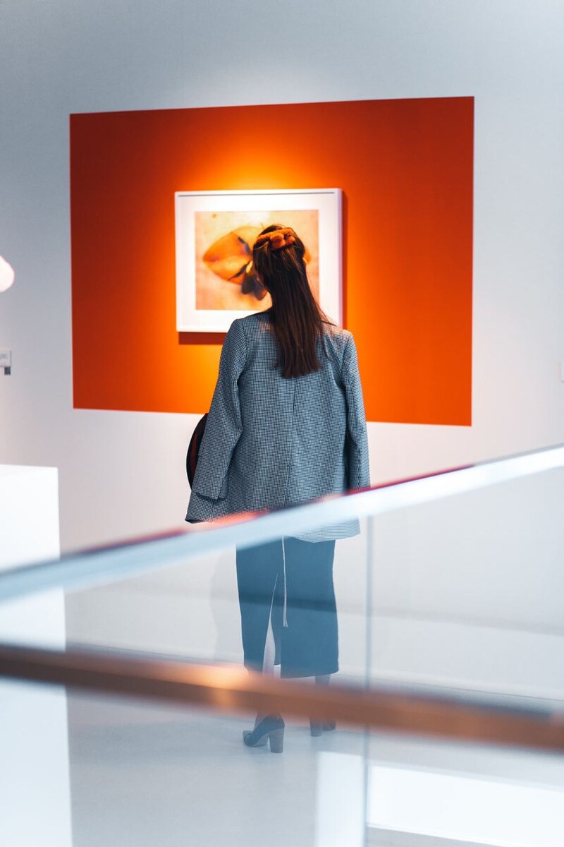    Лаборатория Luch Research и арт-экосистема Art Flash провели социологическое исследование (фото 1)