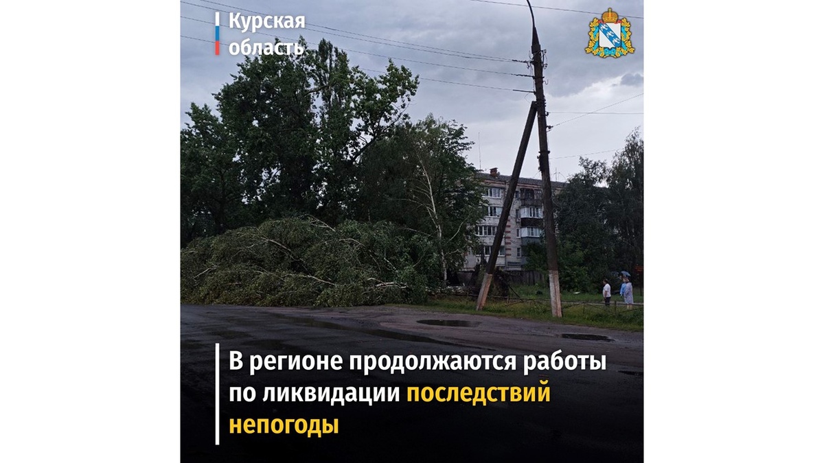    В Курской области из-за сильной непогоды произошли падения деревьев и обрывы ЛЭП