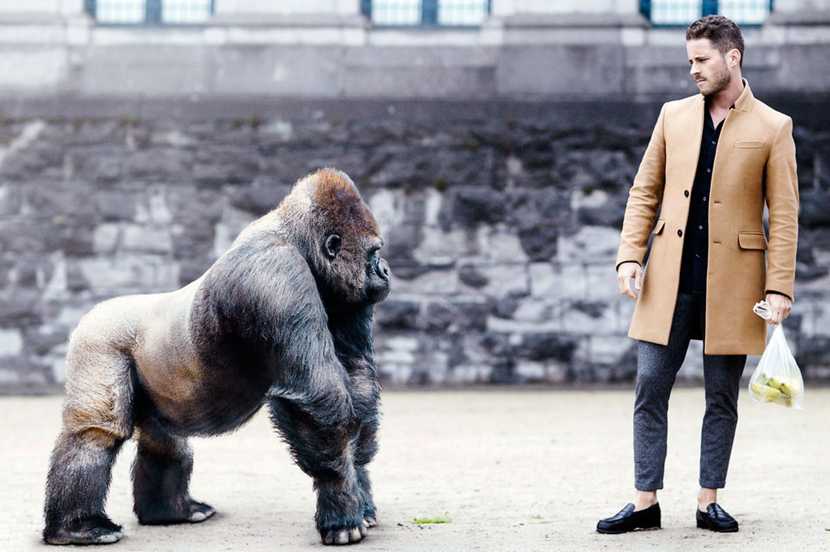 Культура — это не то, о чем вы думаете. Это то, что думает за вас