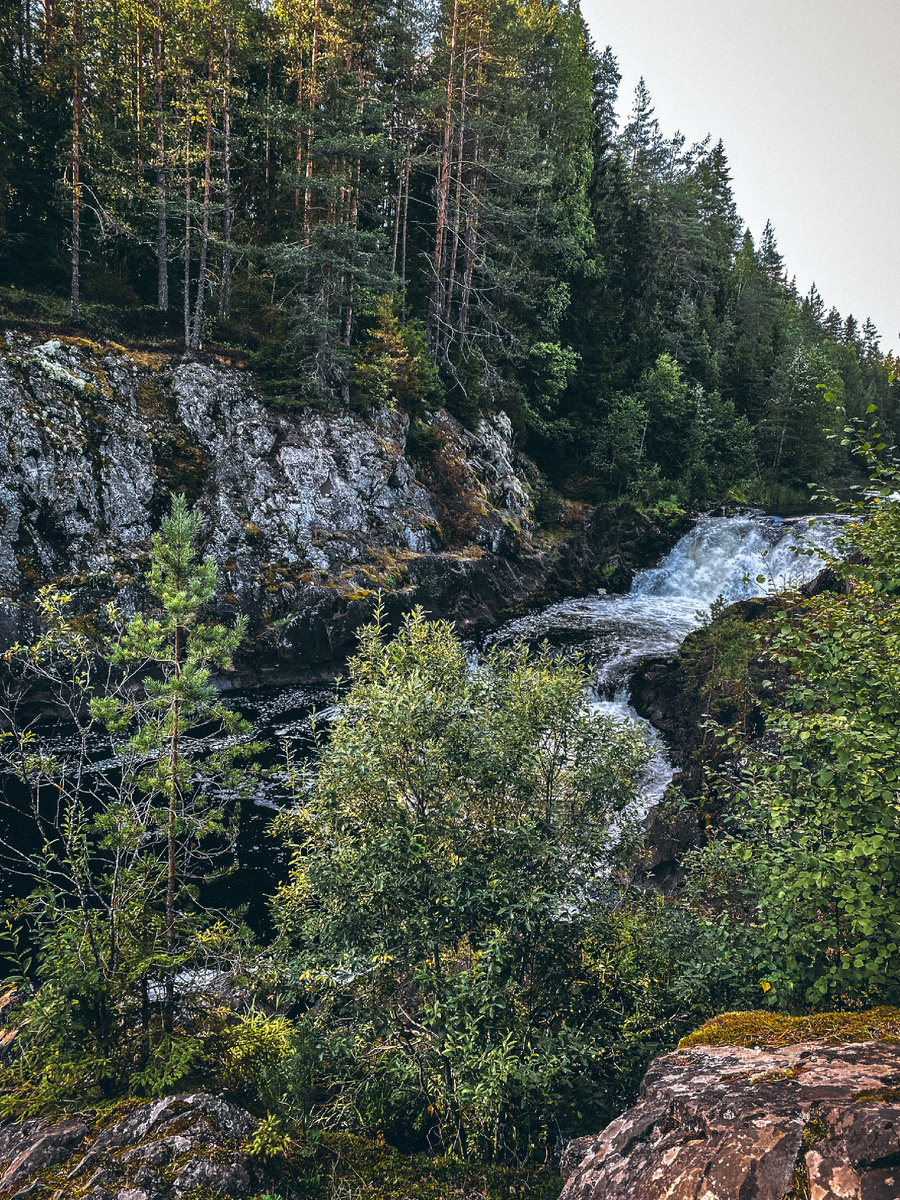 Музей-заповедник «Кивач».По следам Вороны🐦‍⬛©