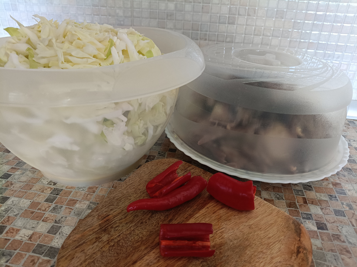 Борщевые полуфабрикаты)