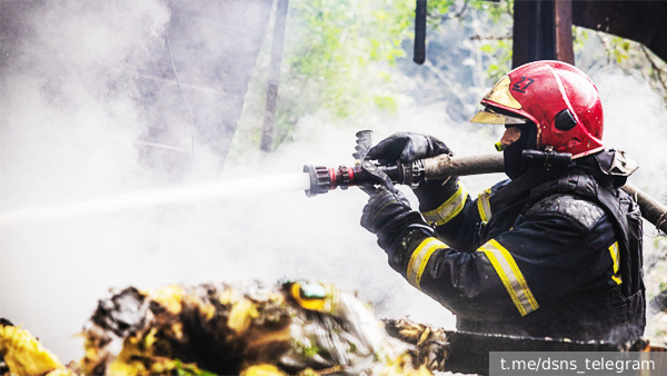     Фото: t.me/dsns_telegram   
 Текст: Мария Иванова