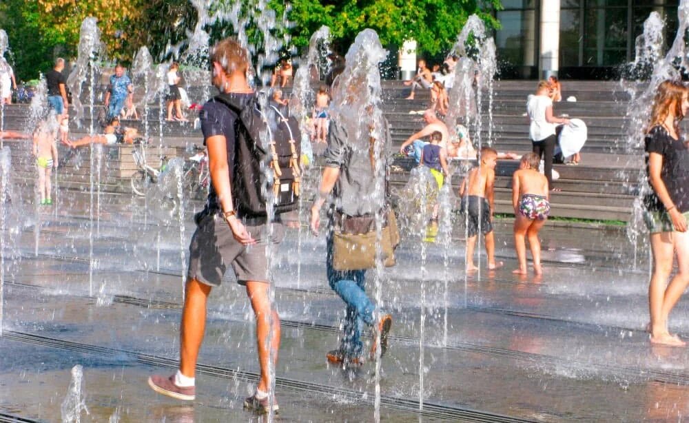 Фото из открытого доступа.