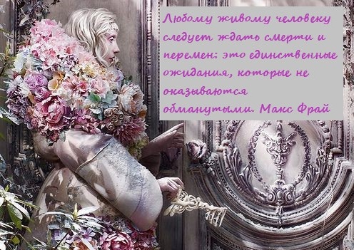 Изображение: Кирсти Митчелл, коллаж автора