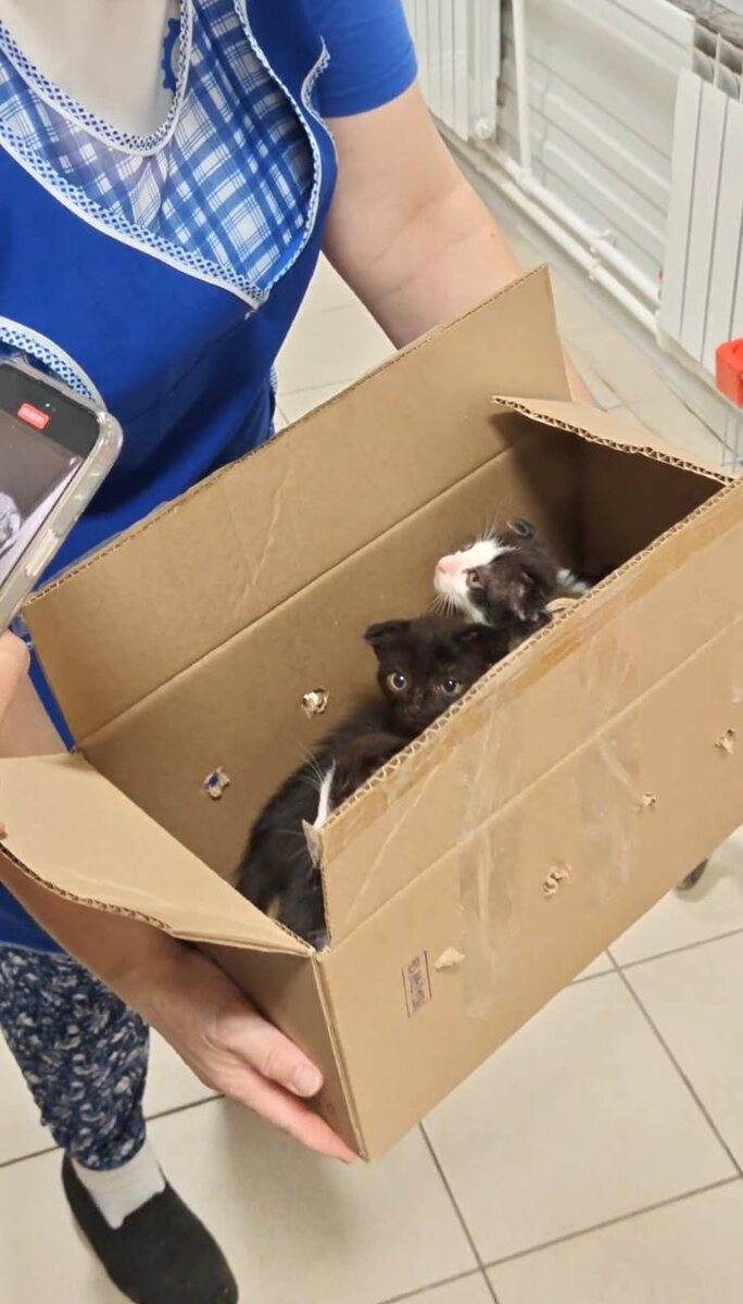 Четверо малышей. Фото из архива автора