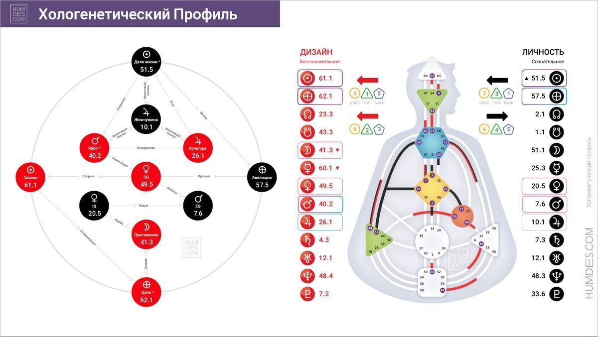 Одинаковые значения в Бодиграфе и Хологенетическом профиле