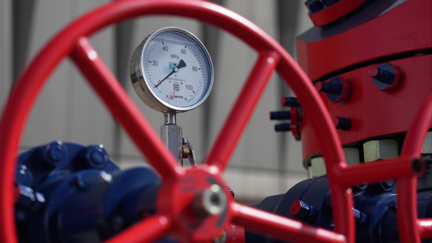    Фото: ИЗВЕСТИЯ/Дмитрий Коротаев