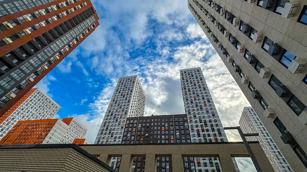    Фото: vm.ru Полина Белоусова