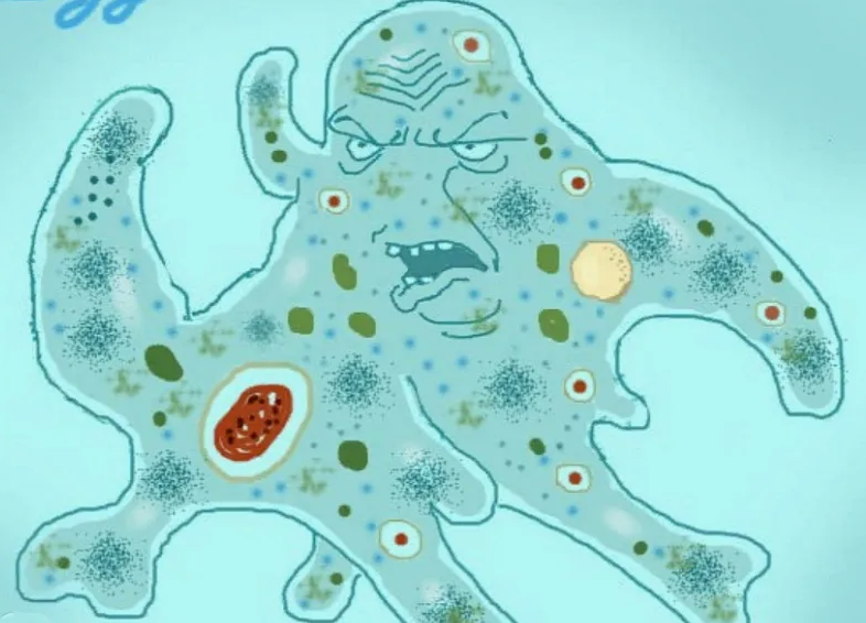 Старый WordPress