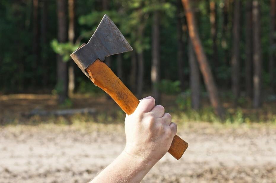    Shutterstock/FOTODOM