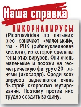    Что еще за Коксаки такой?