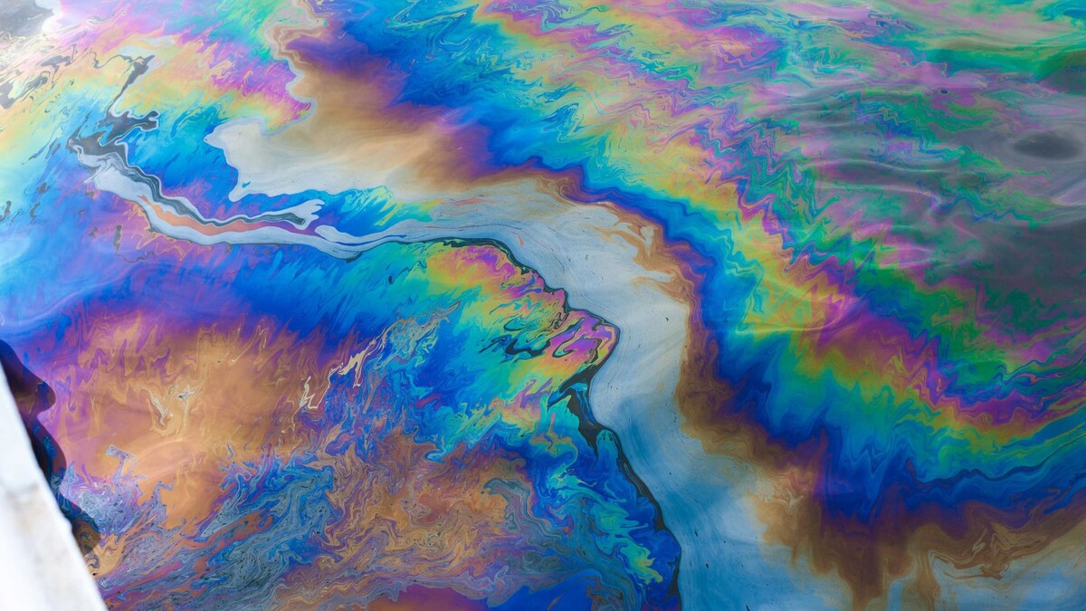    Фото: Phillip Kraskoff/Shutterstock/Fotodom