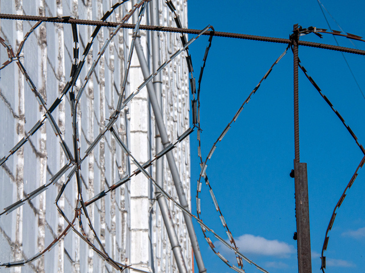 Svetlana Vozmilova/Global Look Press
