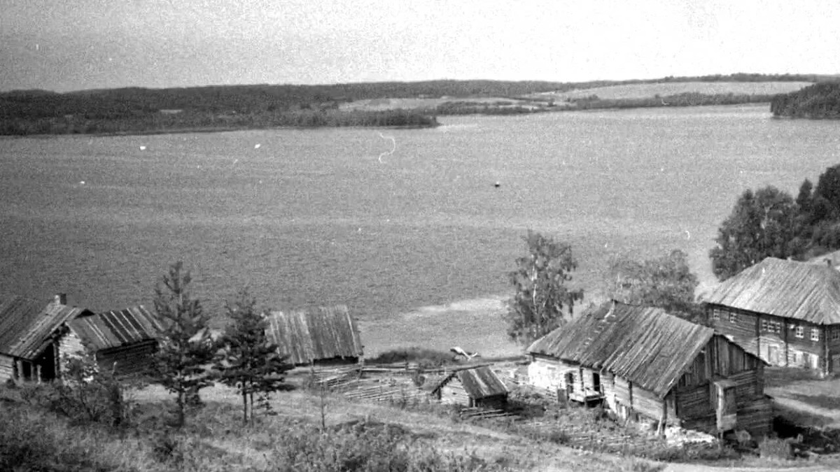 Фото из интернета в свободном доступе