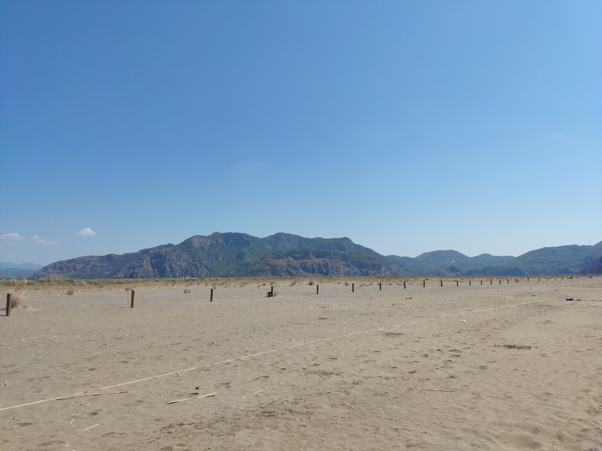 Пляж с установленными зонами для кладки черепашьих яиц