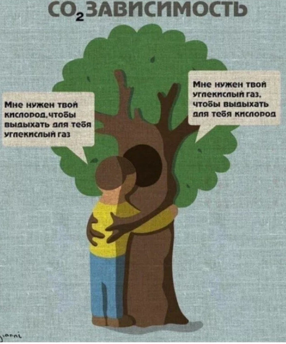 Фото из открытого источника