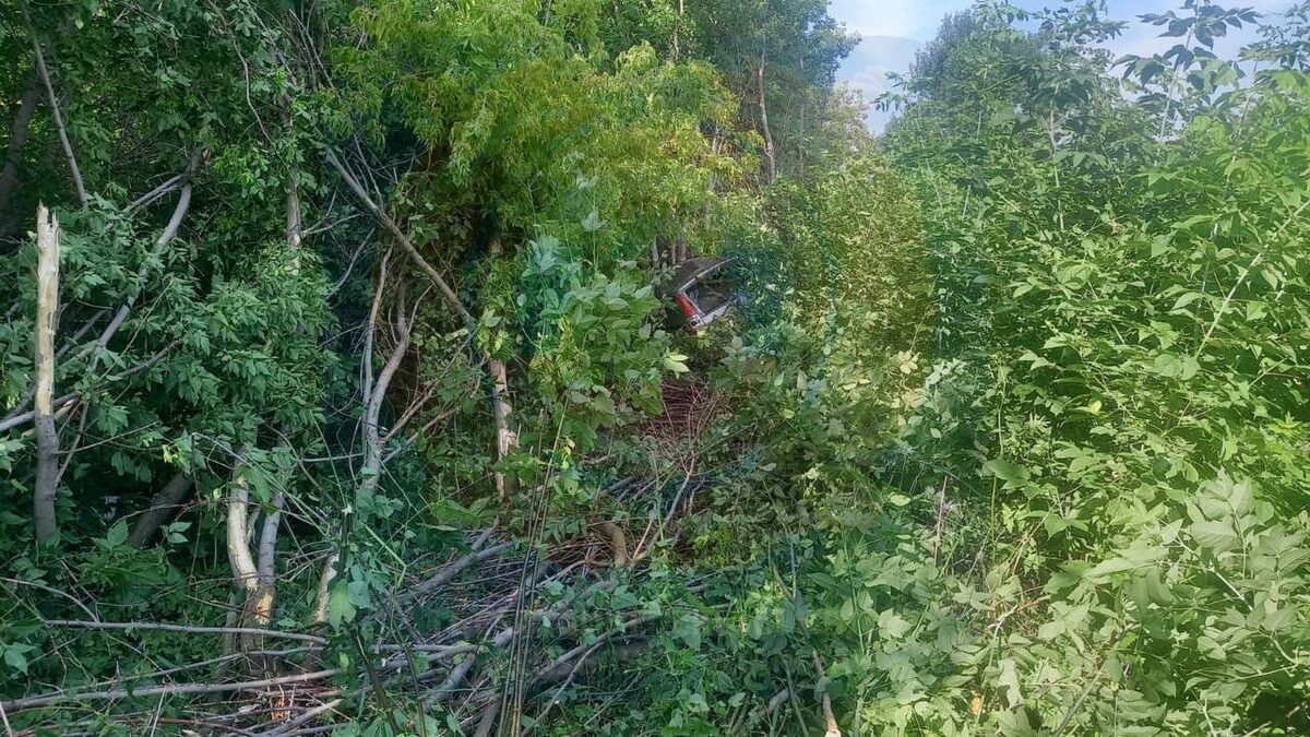 Фото: Телеграм-канал Госавтоинспекции МВД по РТ