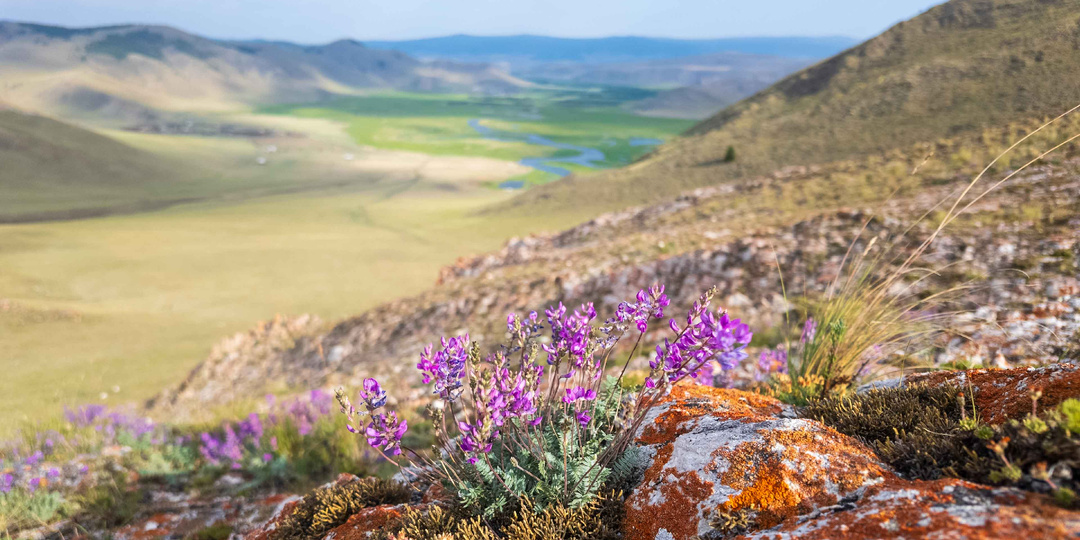 Ты не знал Байкал, пока не видел это… Тажеранские степи — земля-загадка