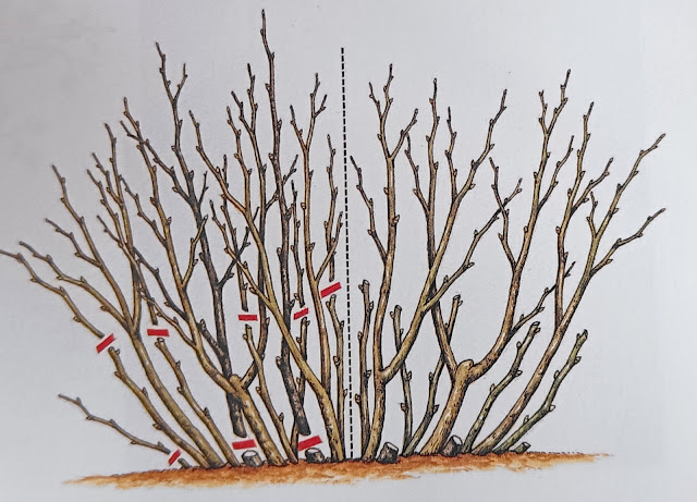 было - стало