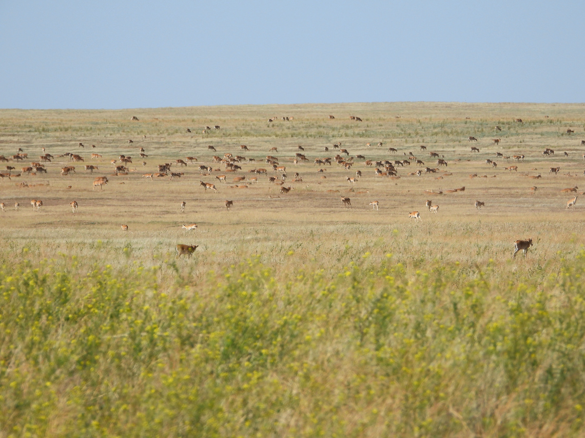 Это не вблизи, если что😁😁😁