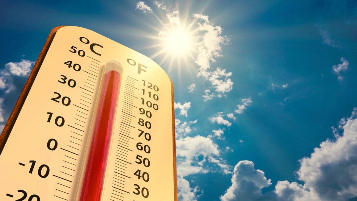    Фото: Lamyai/Shutterstock/Fotodom