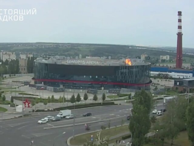    Фото: телеграм-канал "Настоящий Гладков"