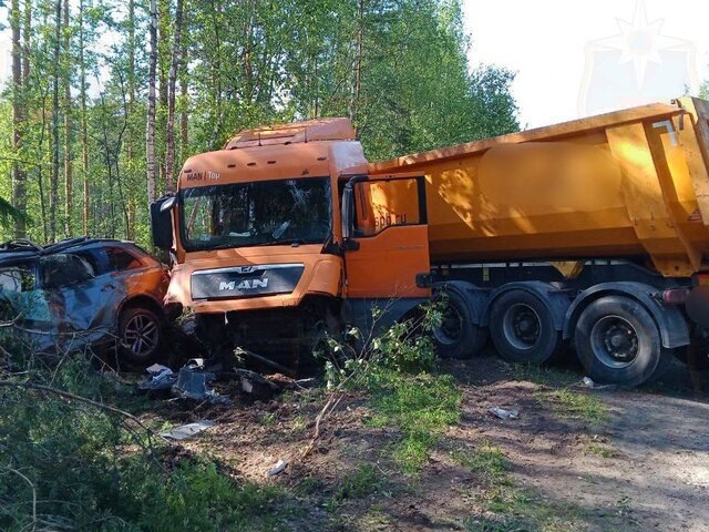    Фото: телеграм-канал "Аварийно-спасательная служба ЛО"