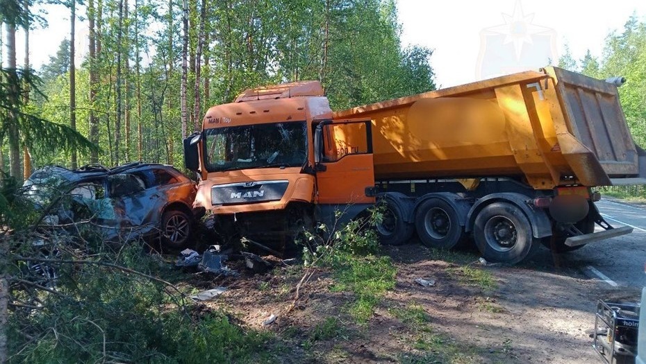    Автор фото: t.me/acclenobl