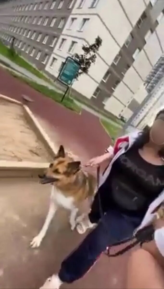    Фото: скриншот из видео в телеграм-канале «ЖК Юнтолово здесь»