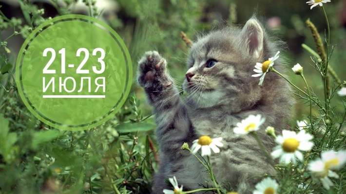 Нумерологический прогноз на начало новой недели 