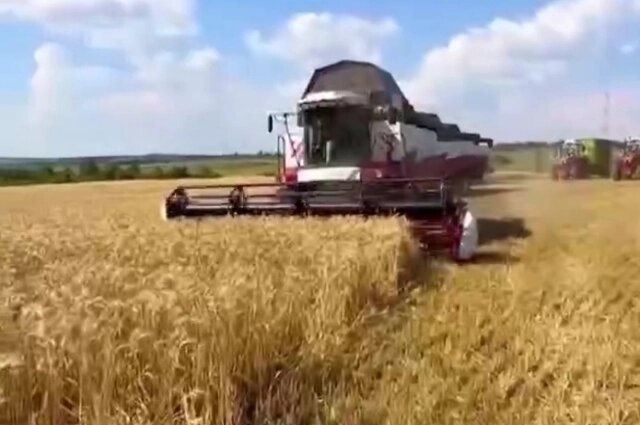    Фото: Telegram-канал Евгения Солнцева