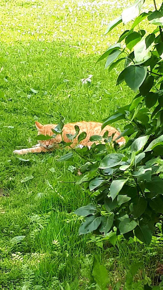 Фото автора 11.07.2025г.