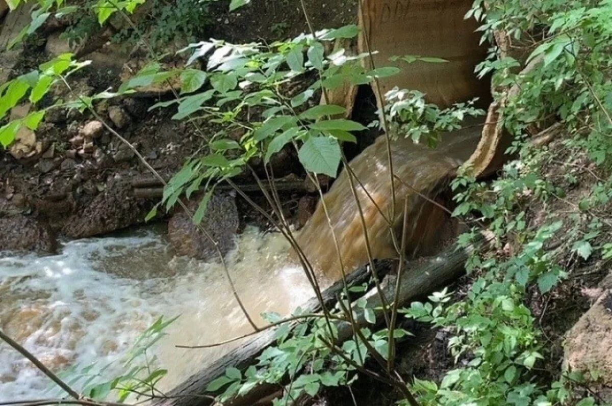    Стал известен источник неприятного запаха в Нижегородской области