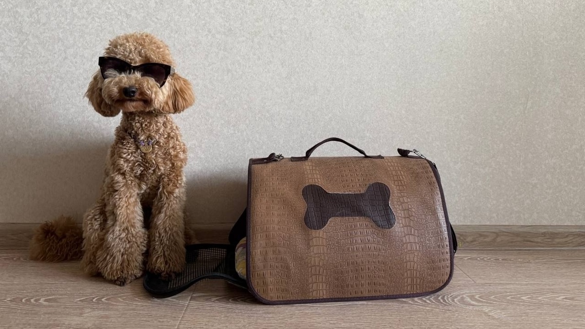 Фото: Галина Козловская