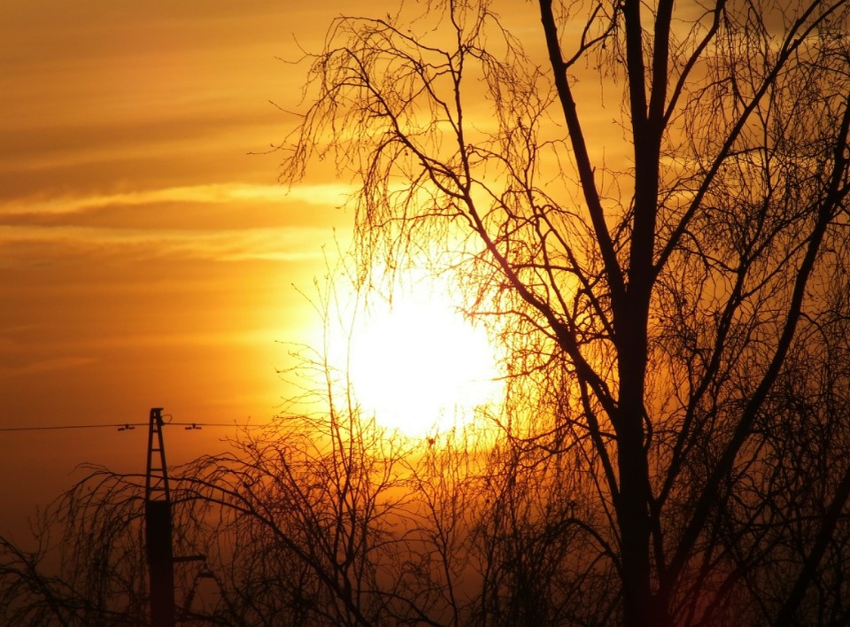    Фото: Victor Lisitsyn/Globallookpress