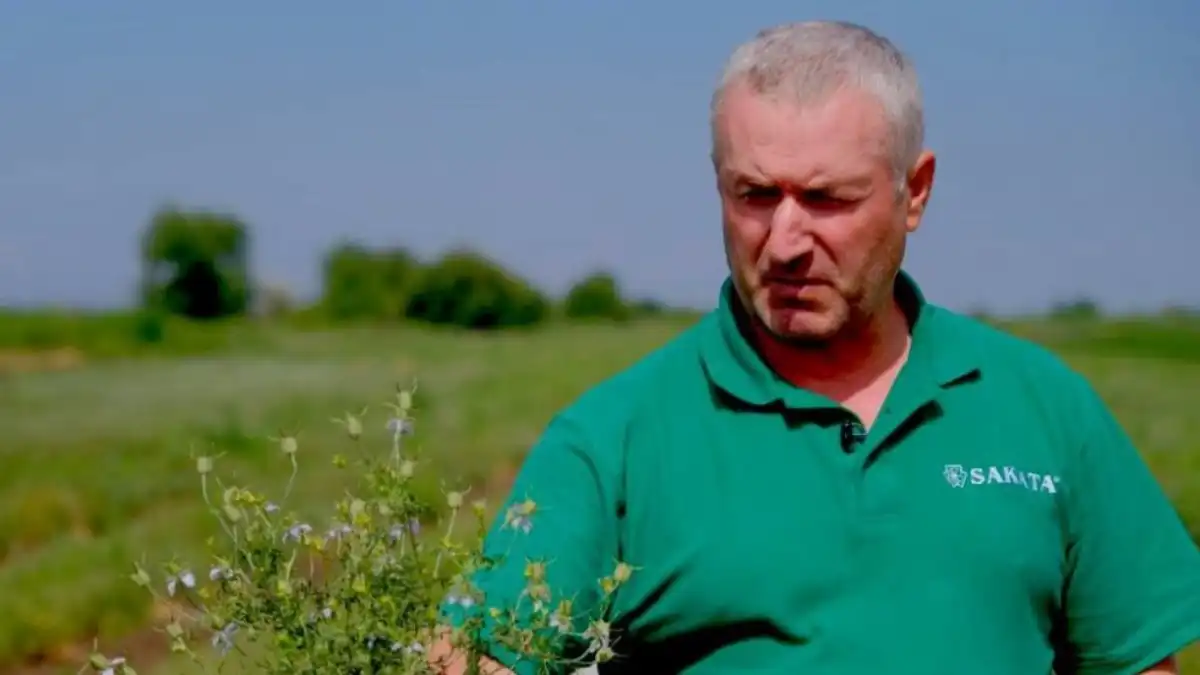 Фото:Администрация Приволжского районаАстраханский фермер Зулкипли Рамазанов с цветками черного тмина