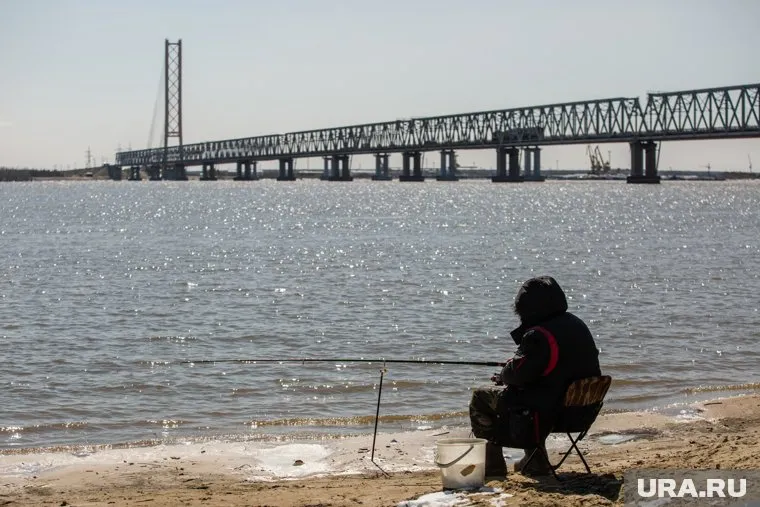 Сургут стоит на берегу Оби
Фото: Александр Кулаковский © URA.RU