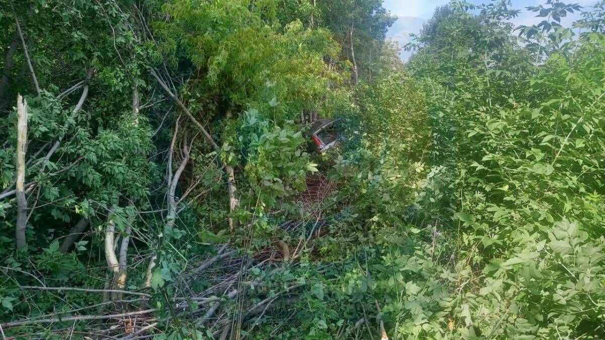    ДТП в Камско-Устьинском районе