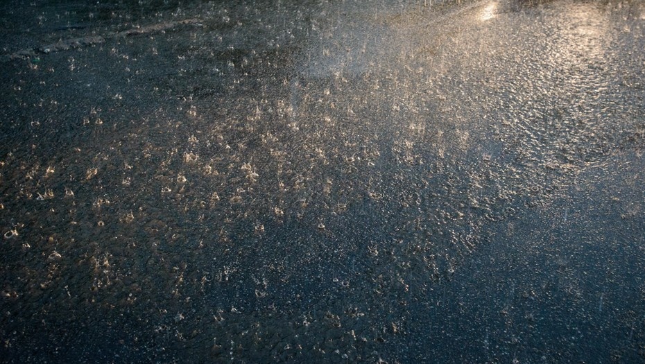    Автор фото: Ермохин Сергей/"ДП"