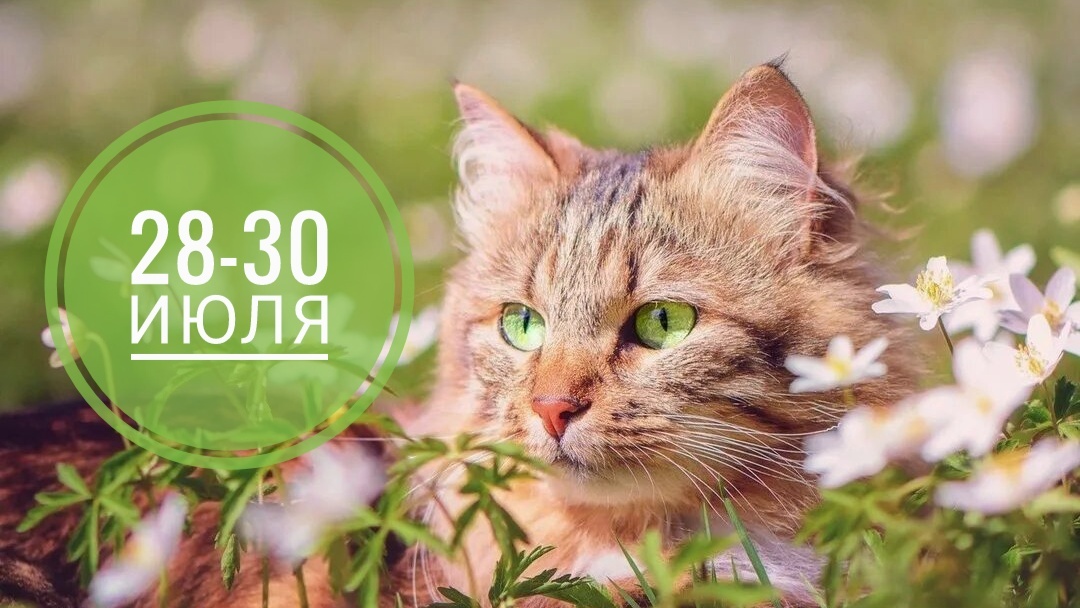 Нумерологический прогноз на первые 3 дня новый рабочей недели