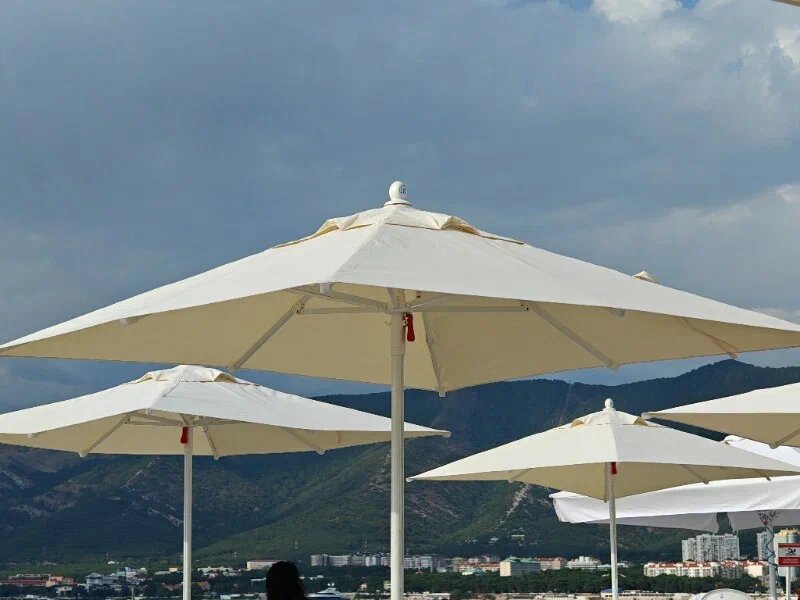    Фото: Юрий Серебренников/BFM Кубань