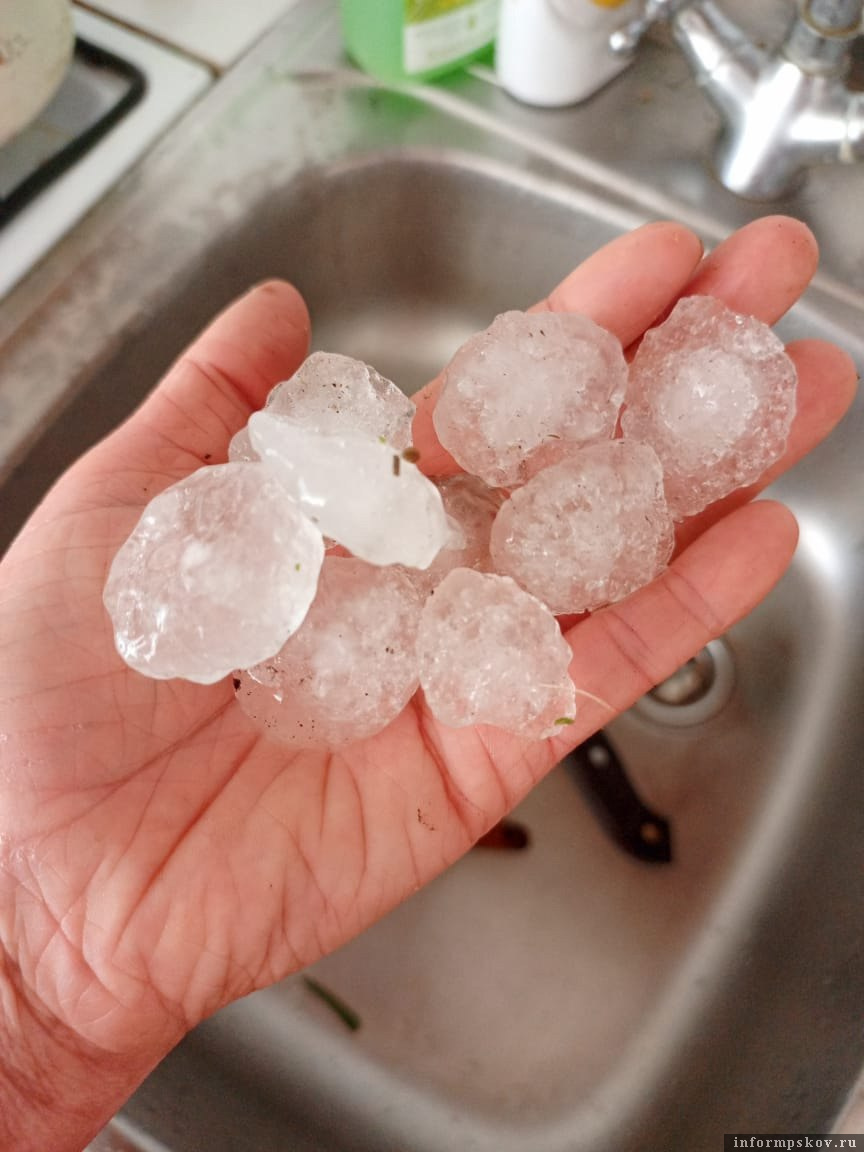 Фото читательницы газеты «Призыв»