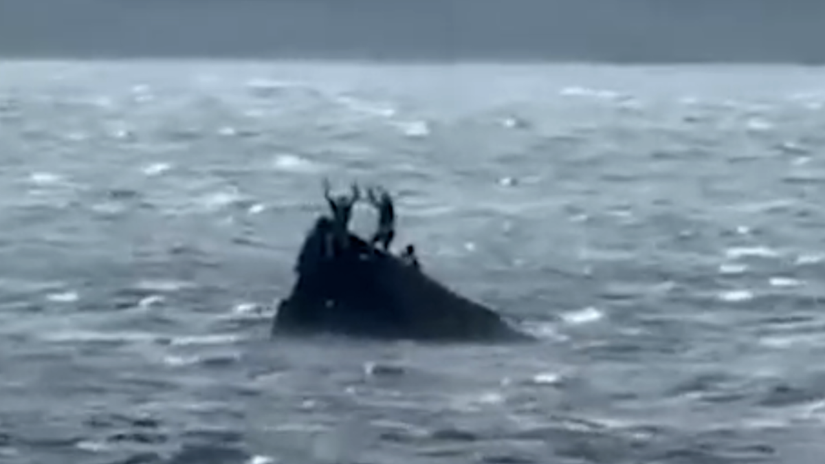     / Источник: Кадр из видео