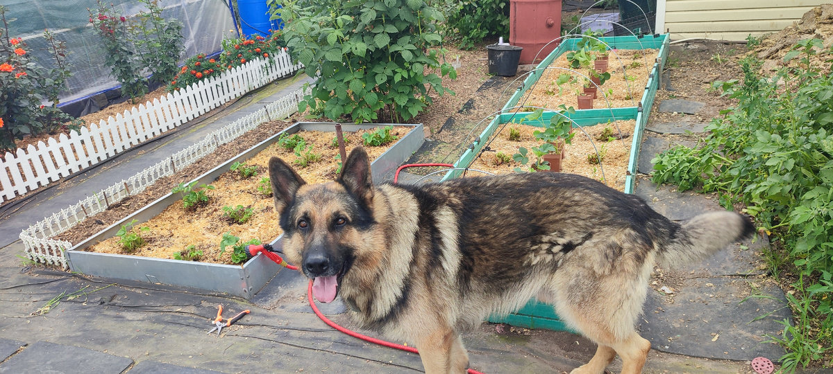 Работала конечно же с помощником 😊